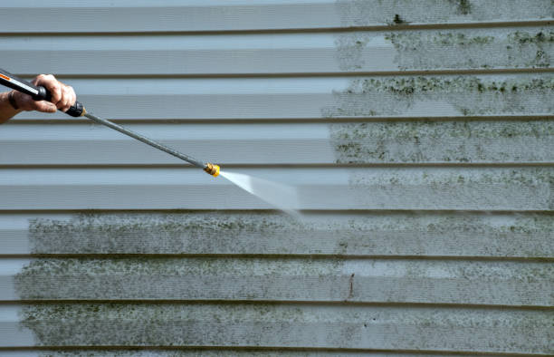 Best Deck Pressure Washing  in Bourbon, MO